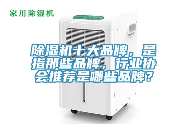除濕機十大品牌，是指那些品牌，行業協會推薦是哪些品牌？