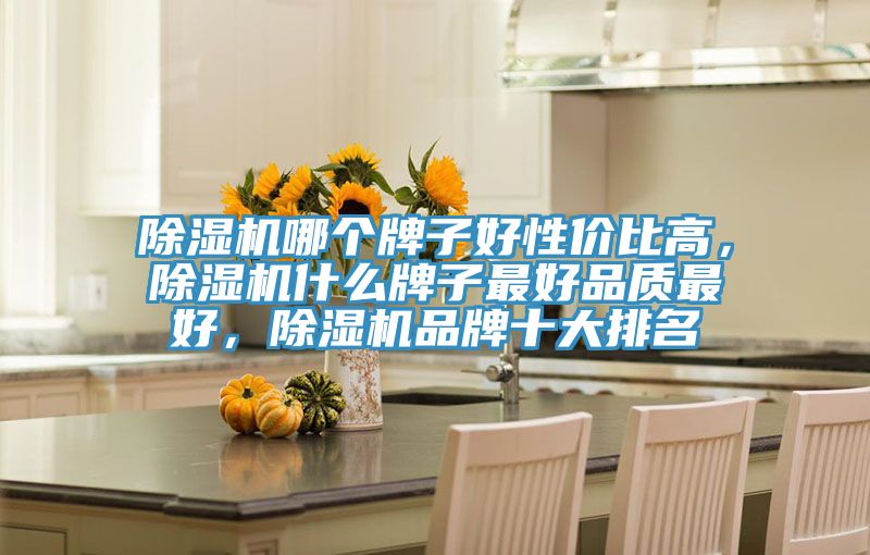 除濕機(jī)哪個(gè)牌子好性價(jià)比高，除濕機(jī)什么牌子最好品質(zhì)最好，除濕機(jī)品牌十大排名