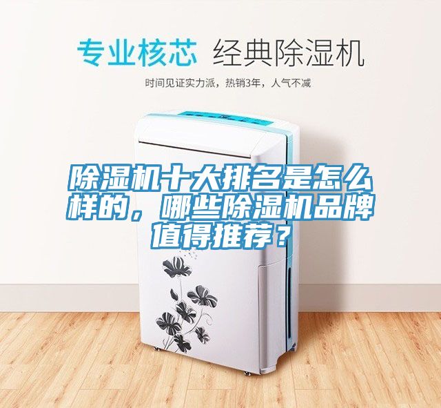 除濕機十大排名是怎么樣的，哪些除濕機品牌值得推薦？