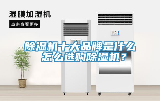 除濕機十大品牌是什么 怎么選購除濕機？