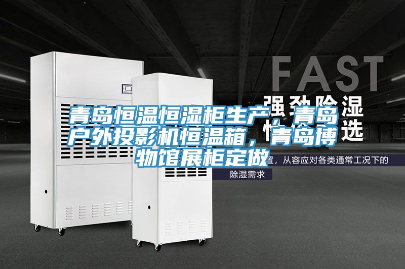 青島恒溫恒濕柜生產(chǎn)，青島戶外投影機(jī)恒溫箱，青島博物館展柜定做