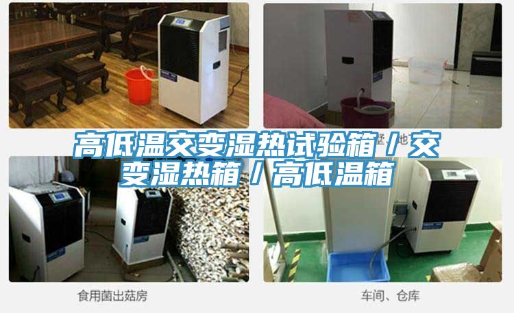 高低溫交變濕熱試驗箱/交變濕熱箱/高低溫箱