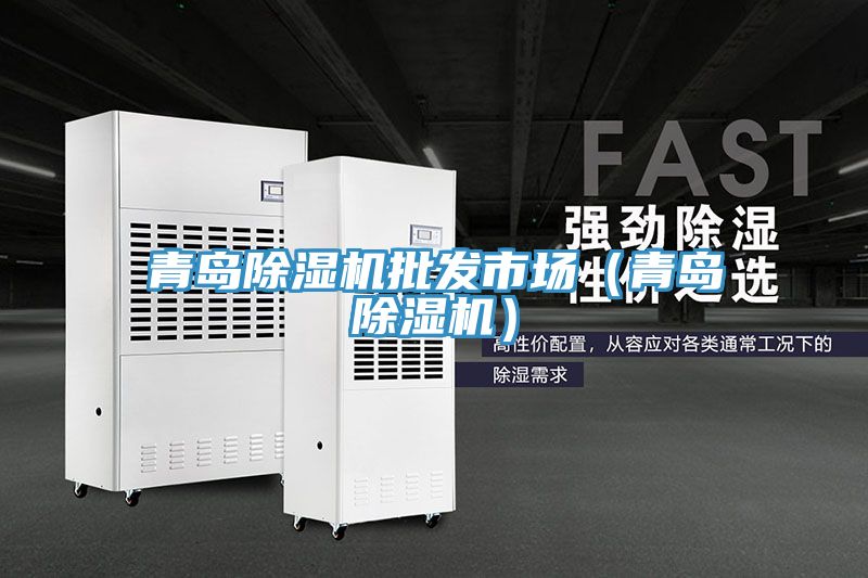 青島除濕機批發(fā)市場(青島除濕機)