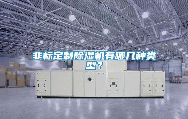 非標定制除濕機有哪幾種類型？