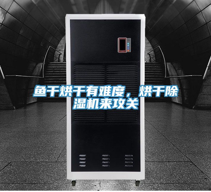 魚干烘干有難度，烘干除濕機(jī)來攻關(guān)