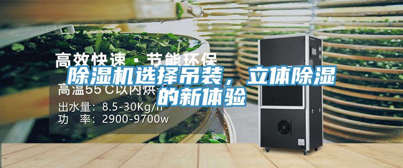 除濕機(jī)選擇吊裝，立體除濕的新體驗