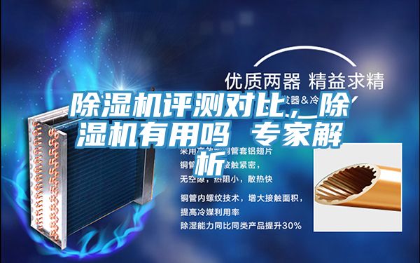 除濕機評測對比，除濕機有用嗎 專家解析