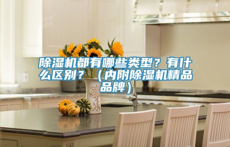 除濕機(jī)都有哪些類型？有什么區(qū)別？（內(nèi)附除濕機(jī)精品品牌）